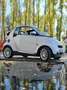 smart forTwo 451 Cabrio NEUE PICKERL 03/2027 - thumbnail 4