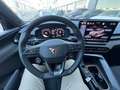 CUPRA Terramar 1.5 eTSI 110 DSG Vert - thumbnail 14