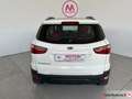 Ford EcoSport 1.5 tdci Business 95cv E6 - OK NEOPATENTATI Blanco - thumbnail 8