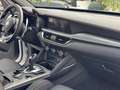 Alfa Romeo Stelvio Stelvio 2023 2.2 t Tributo Italiano Q4 210cv auto Bianco - thumbnail 14