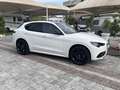 Alfa Romeo Stelvio Stelvio 2023 2.2 t Tributo Italiano Q4 210cv auto Bianco - thumbnail 2