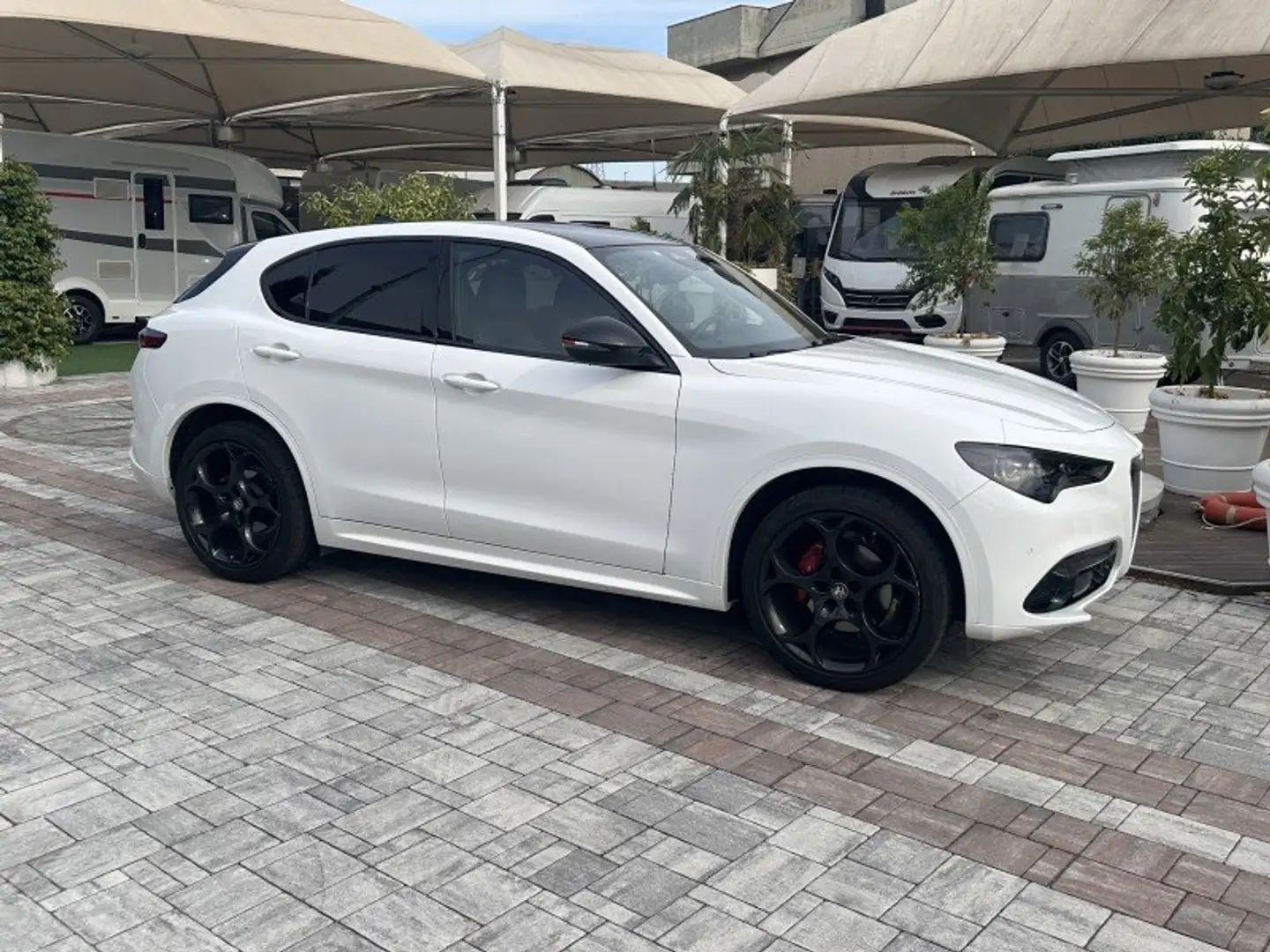 Alfa Romeo Stelvio Stelvio 2023 2.2 t Tributo Italiano Q4 210cv auto Bianco - 2
