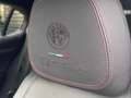 Alfa Romeo Stelvio Stelvio 2023 2.2 t Tributo Italiano Q4 210cv auto Bianco - thumbnail 6