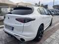 Alfa Romeo Stelvio Stelvio 2023 2.2 t Tributo Italiano Q4 210cv auto Bianco - thumbnail 12