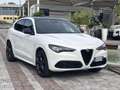 Alfa Romeo Stelvio Stelvio 2023 2.2 t Tributo Italiano Q4 210cv auto Bianco - thumbnail 1
