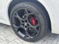 Alfa Romeo Stelvio Stelvio 2023 2.2 t Tributo Italiano Q4 210cv auto Bianco - thumbnail 10