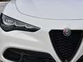 Alfa Romeo Stelvio Stelvio 2023 2.2 t Tributo Italiano Q4 210cv auto Blanco - thumbnail 17