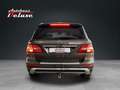 Mercedes-Benz ML 350 BT EDITION 1 DESIGNO KAMERA-AHK-DISTRONIC Kahverengi - thumbnail 6