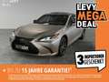 Lexus ES 300 h Business Line +GSD+Navi+Leder+CarPlay+ Silber - thumbnail 1