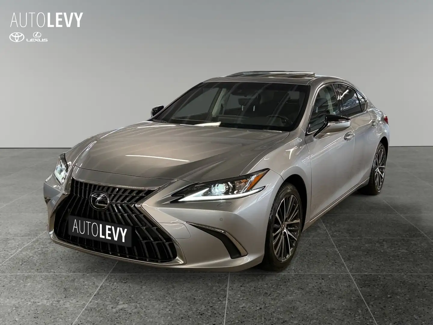 Lexus ES 300 h Business Line +GSD+Navi+Leder+CarPlay+ Silber - 2