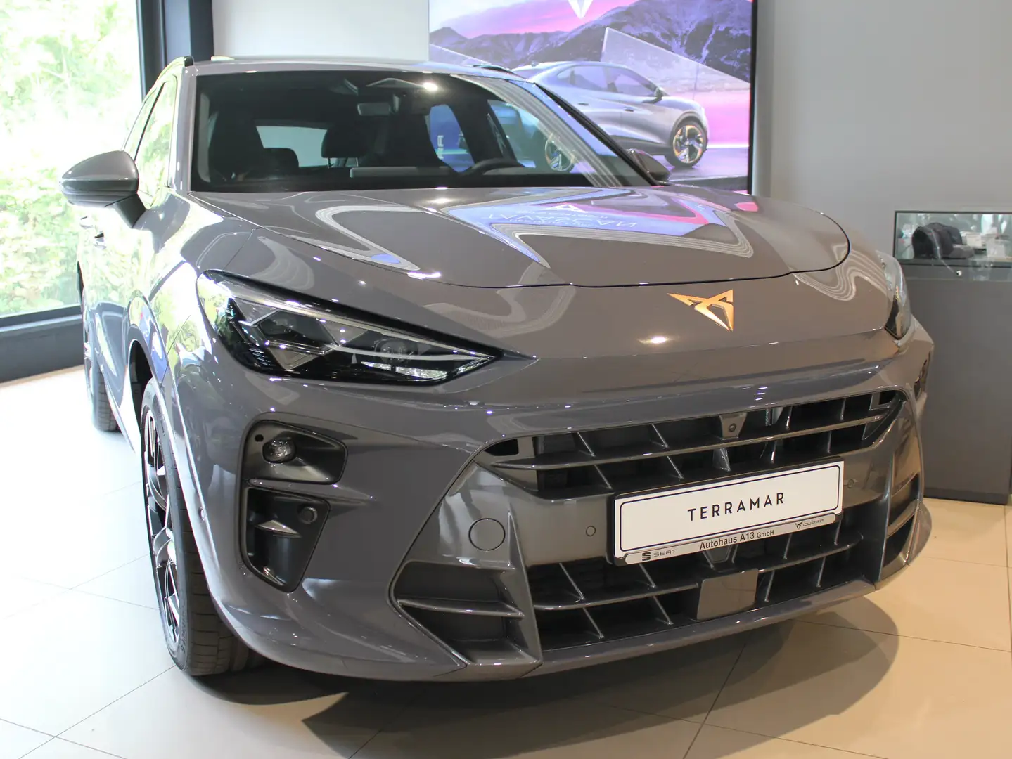CUPRA Terramar Terramar VZ 2.0 TSI DSG 4DRIVE Matrix. Navi. Leder Grau - 2