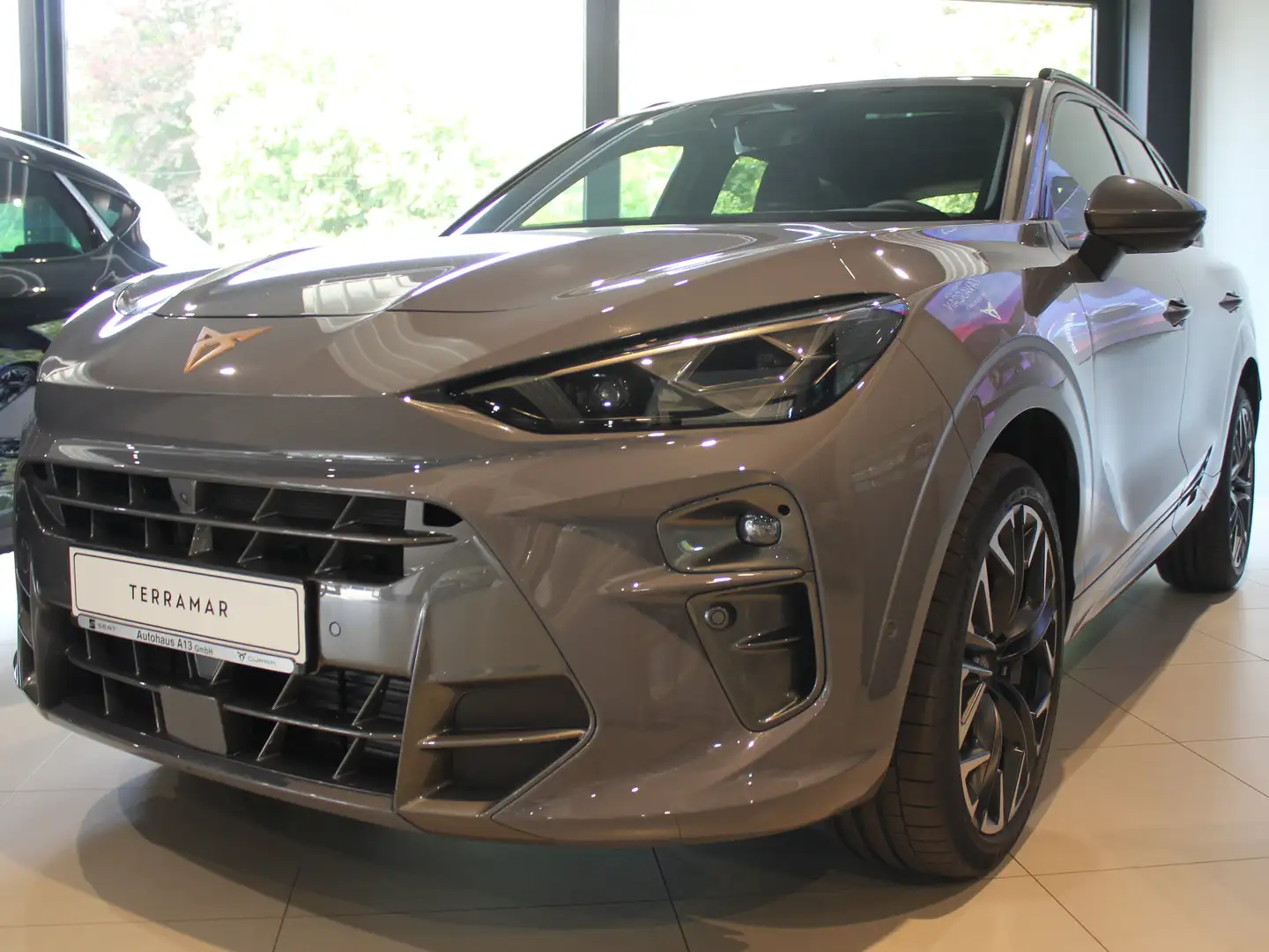 CUPRA Terramar Terramar VZ 2.0 TSI DSG 4DRIVE Matrix. Navi. Leder Gris - 1