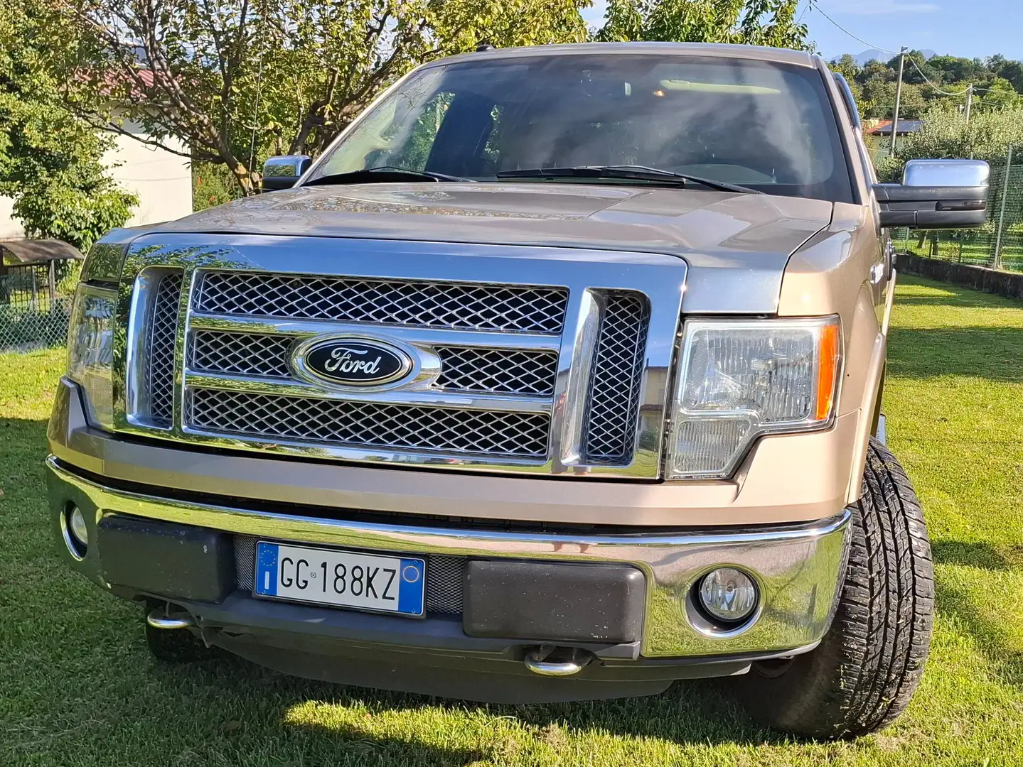Ford F 150 Bronzo - 1