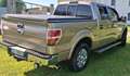 Ford F 150 Bronzo - thumbnail 6