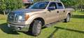 Ford F 150 Bronzo - thumbnail 2