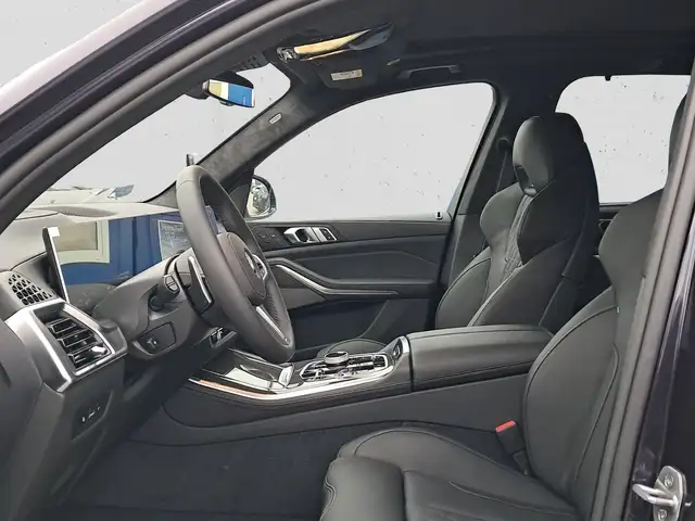 BMW X5 X5 view 8