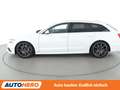 Audi A6 3.0 V6 TDI clean diesel quattro Aut.*NAVI*LED* Alb - thumbnail 3
