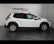 Peugeot 2008 1.5 bluehdi Allure s&s 120cv eat6 my19 Bianco - thumbnail 4