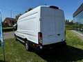 Ford Transit Trend L4H3 RWD 130pk €24.500 excl. btw Wit - thumbnail 3