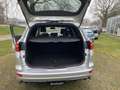 Ford Focus WAGON 1.0 ST LINE 125PK NAVI CAMERA Grau - thumbnail 12