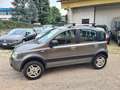 Fiat Panda Panda 1.3 multijet 16v Climbing 4x4 75cv Gris - thumbnail 4