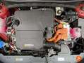 Kia Niro 1.6 GDi HEV 104kW (141CV) Concept Rouge - thumbnail 20