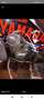 Yamaha Raptor 700 Bleu - thumbnail 3
