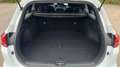 Kia 1.0 T-GDI 88KW TECH TOURER 120 5P Blanco - thumbnail 9