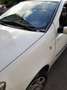 Fiat Punto Dynamic  1.2 , 5 porte benzina 44  kw Bianco - thumbnail 7