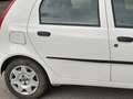 Fiat Punto Dynamic  1.2 , 5 porte benzina 44  kw Blanco - thumbnail 44