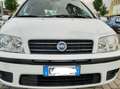 Fiat Punto Dynamic  1.2 , 5 porte benzina 44  kw Білий - thumbnail 2