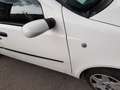 Fiat Punto Dynamic  1.2 , 5 porte benzina 44  kw Blanco - thumbnail 46