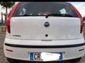Fiat Punto Dynamic  1.2 , 5 porte benzina 44  kw Білий - thumbnail 3