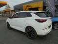 Opel Grandland Business Elegance Plug-in-Hybrid+... Wit - thumbnail 4