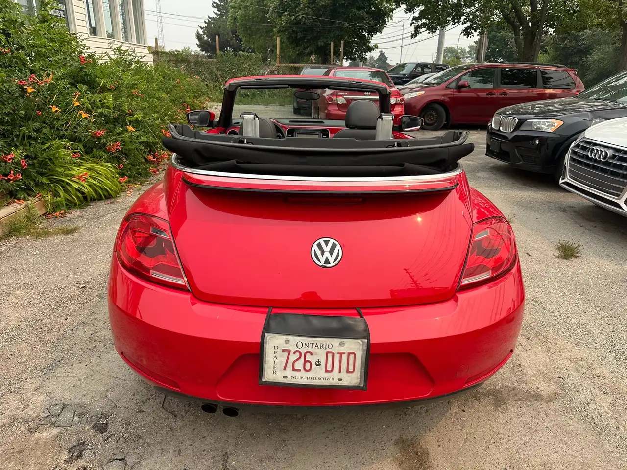 Volkswagen Beetle photo Volkswagen Beetle