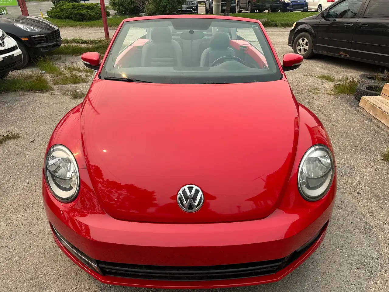 Volkswagen Beetle photo Volkswagen Beetle
