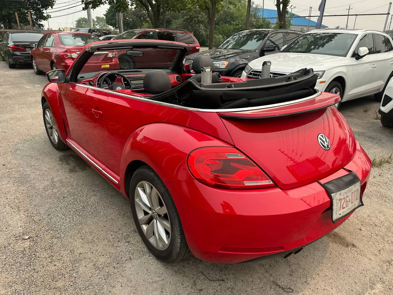 Volkswagen Beetle photo Volkswagen Beetle
