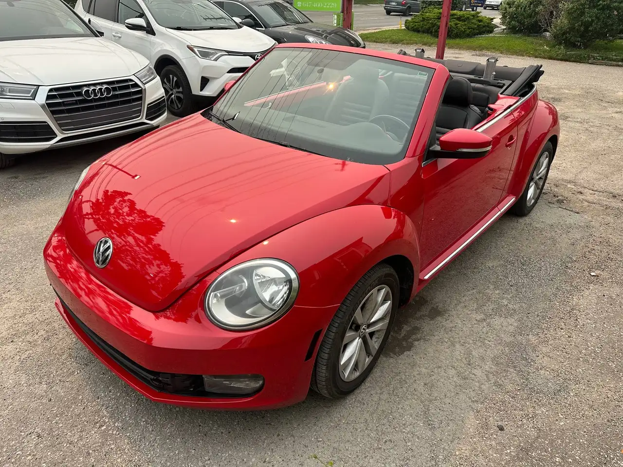 Volkswagen Beetle photo Volkswagen Beetle