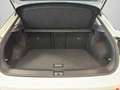 Volkswagen T-Roc Style 1.5 TSI Style DSG NAVI APP AHK RearV Weiß - thumbnail 15