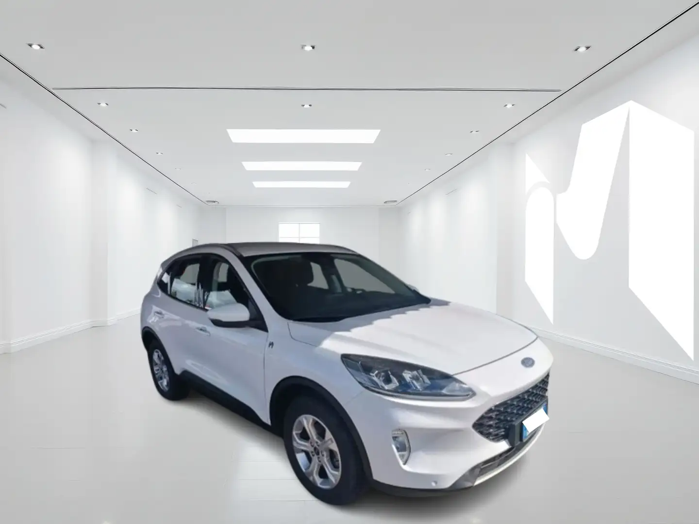 Ford Kuga Kuga 1.5 ecoblue Titanium 2wd 120cv - GD913LG Bianco - 1
