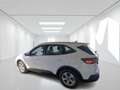 Ford Kuga Kuga 1.5 ecoblue Titanium 2wd 120cv - GD913LG Bianco - thumbnail 2