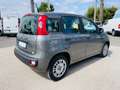 Fiat Panda 1.2 EasyPower Easy Gris - thumbnail 17