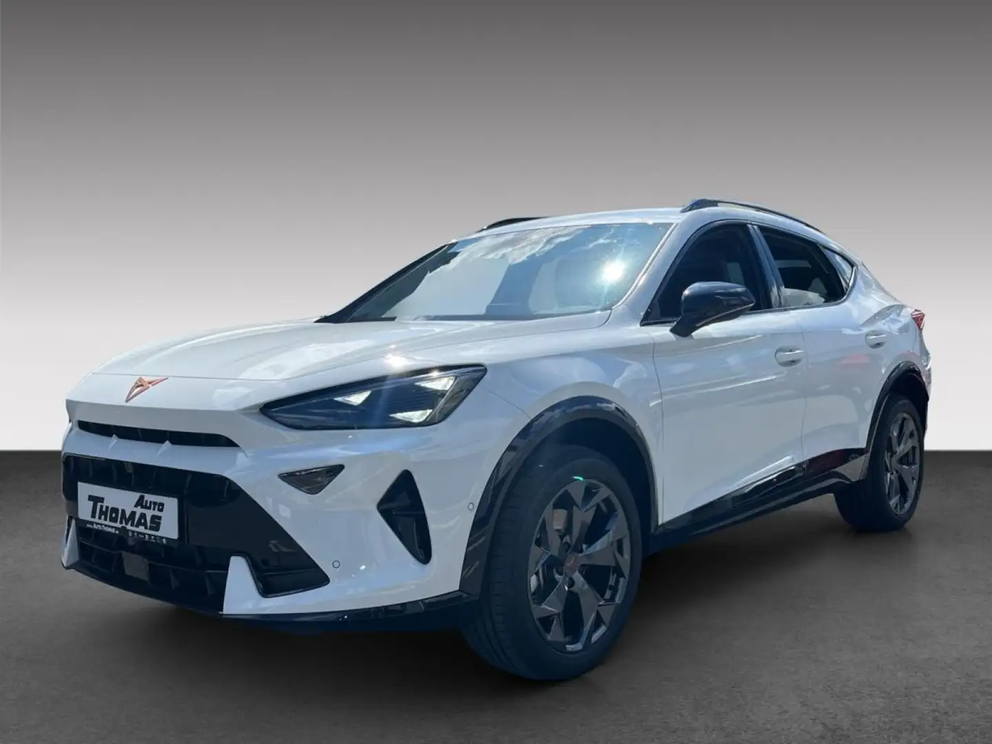 CUPRA Formentor 2.0 TDI 110kW 4Drive DSG Weiß - 1