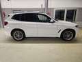 BMW X3 xDrive 30 e M Sport +Lenkradhzng.+AHK+Kamera Blanco - thumbnail 4