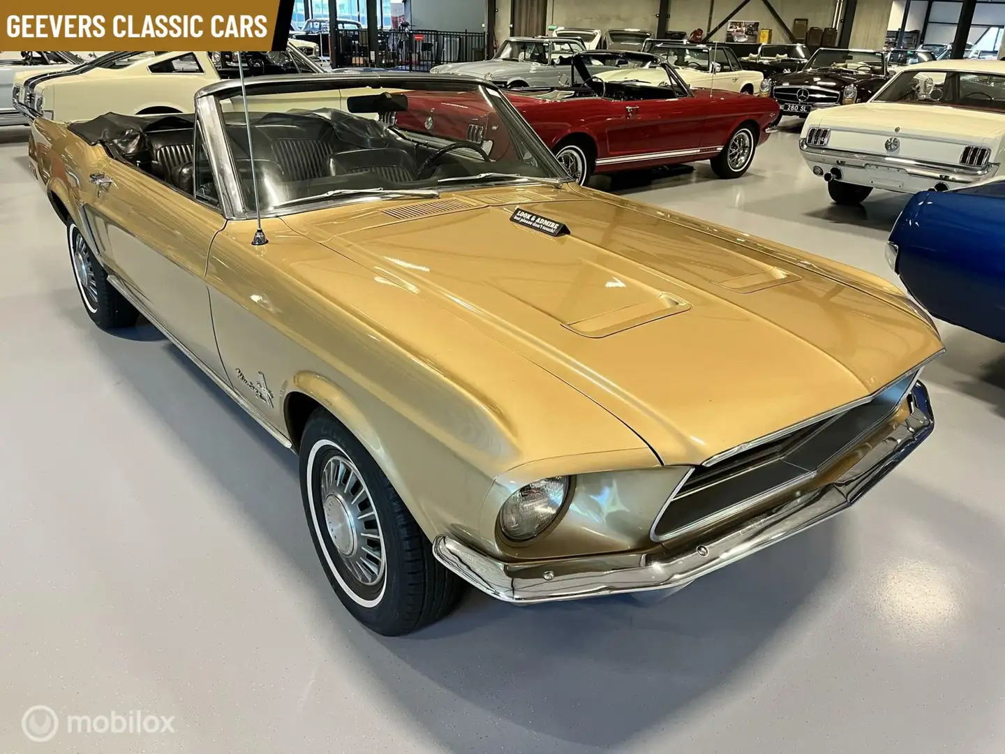 Ford Mustang Convertible - 1