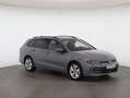Volkswagen Golf Variant Business mHeV DSG Grau - thumbnail 7