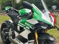 Ducati Panigale V4 Tricolore 2025 - thumbnail 6
