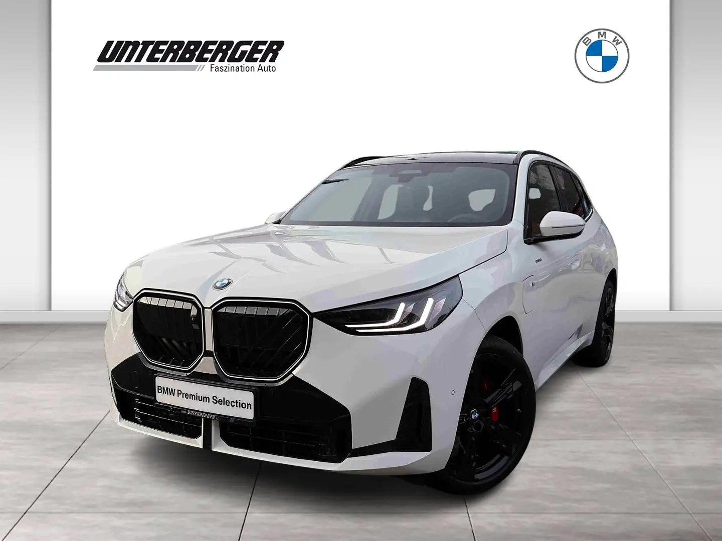 BMW X3 30e xDrive M Sportpaket HK HiFi DAB Weiß - 1