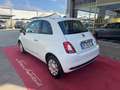 Fiat 500 1.0 Hybrid PREZZO REALE NEOPATENTATI Bianco - thumbnail 4