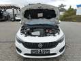 Fiat Tipo Tipo Kombi Kombi 1.4 T Navi Weiß - thumbnail 35